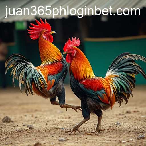 Cockfighting